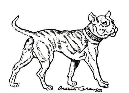 Illustration by Arthur Craven - Leggier Bulldog - circa 1930